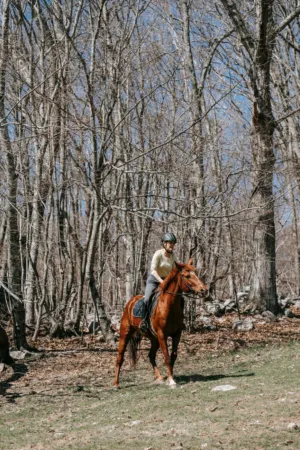 Equestrian Adventure