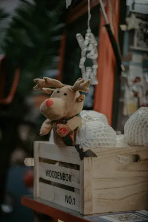 Christmas Reindeer In Wooden Box