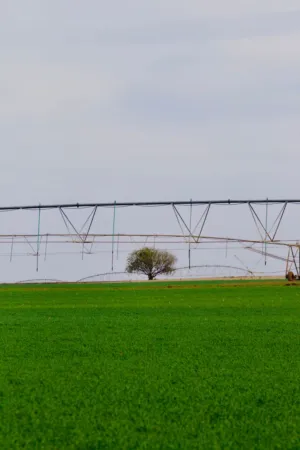 Irrigation System In A Field