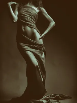 Silhouette Of A Pregnant Woman