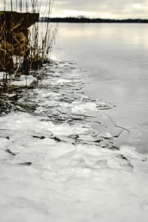 Frozen Lake Edge