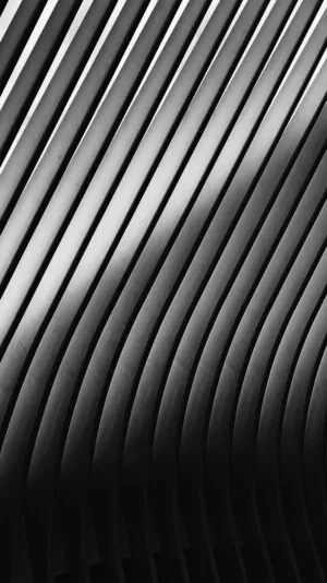 Abstract Black And White Lines