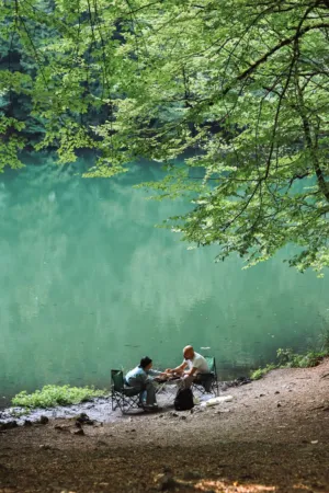 Calm Lake Side