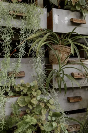 Vertical Garden