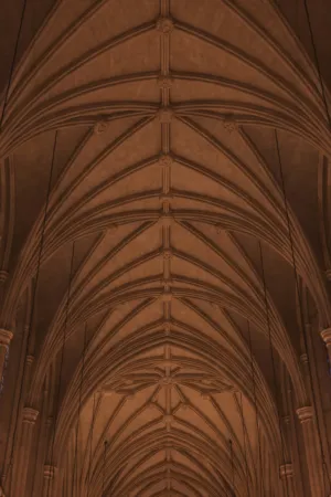 Gothic Cathedral Ceiling