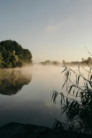 Misty Morning On The Lake