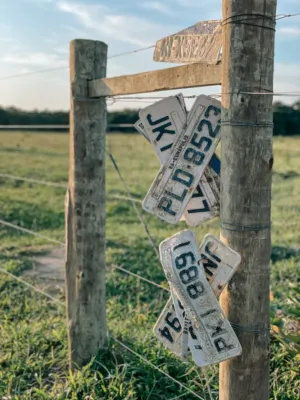 Rustic Fence Post With License Plates