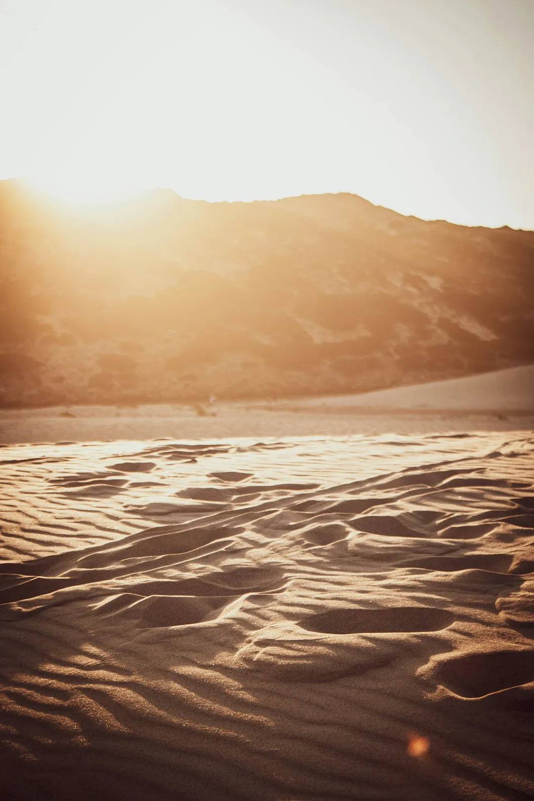Desert Sunset