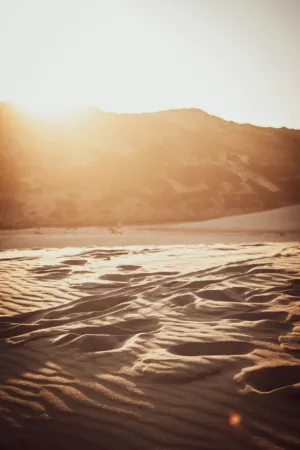 Desert Sunset