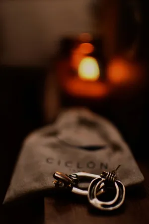 Elegant Earrings