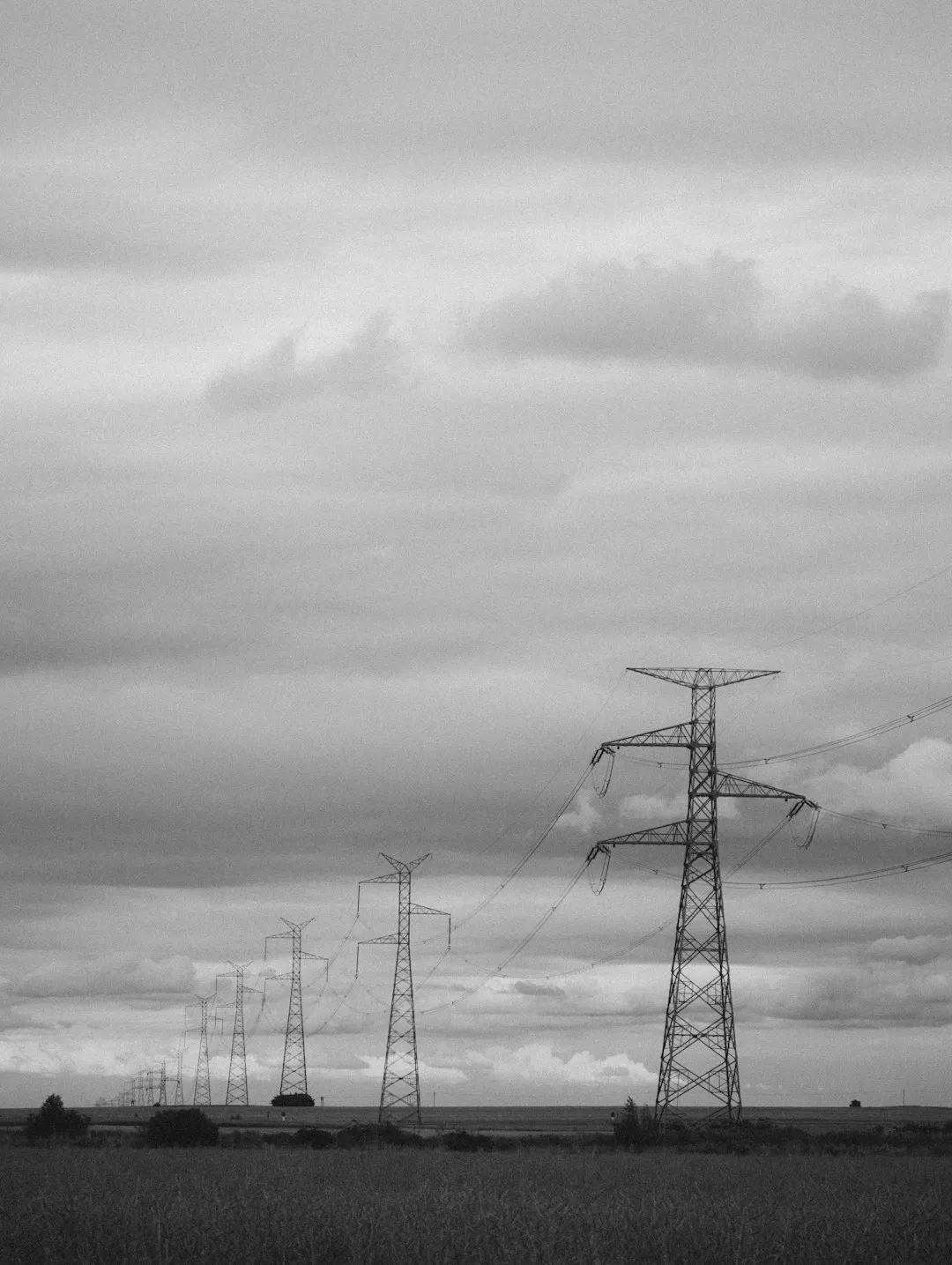 Power Lines In The Field
