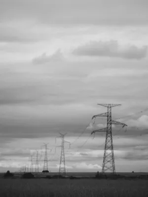 Power Lines In The Field