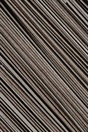 Abstract Lines