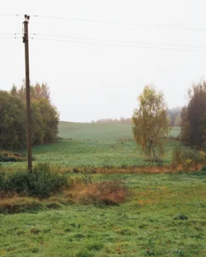Rural Landscape