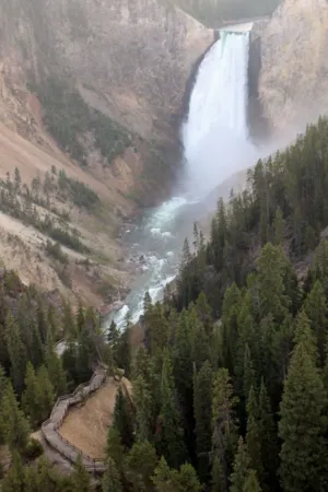 Lower Yellowstone Falls