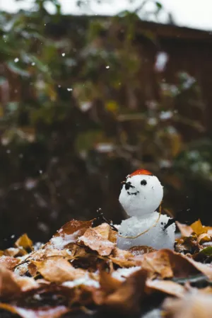 Snowman In Autumn
