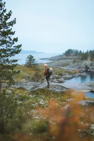Nature Explorer