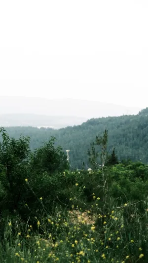 Mountain Landscape