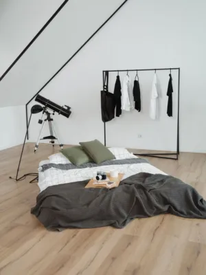 Modern Minimalist Bedroom
