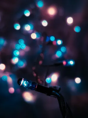 Twinkling Lights