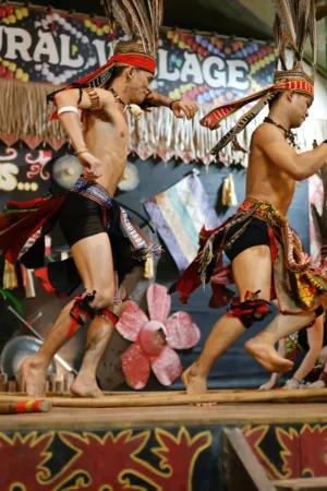 Traditional Dance Performance
