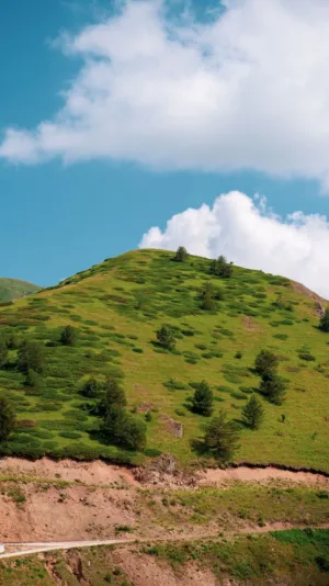 Green Hillside