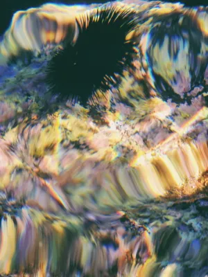 Abstract Oceanic Art