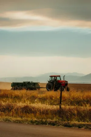 Tractor In The Field