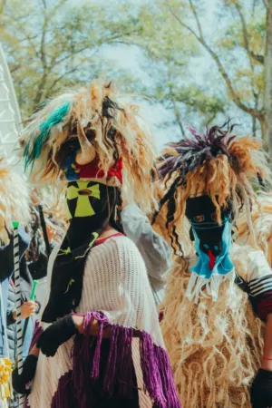 Colorful Carnival Costumes
