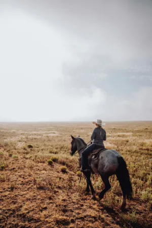 Horseback Riding In The Open Field