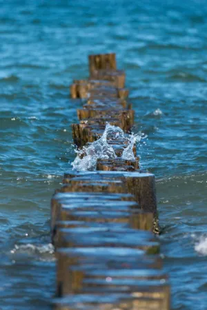 Wooden Breakwater In The Ocean