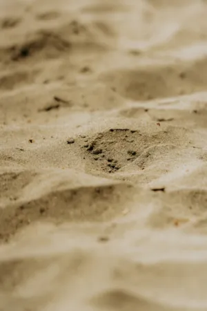 Footprint In The Sand