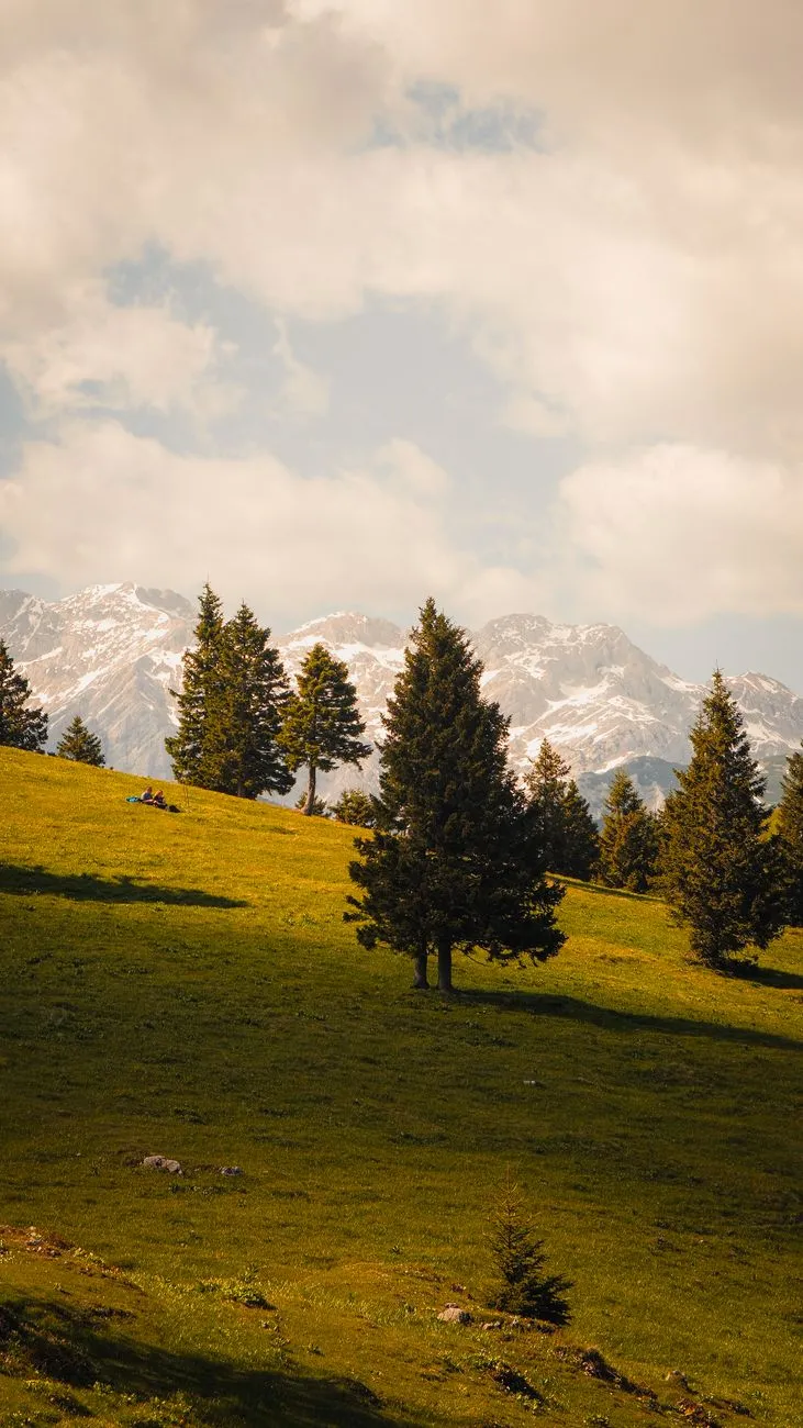 Alpine Landscape