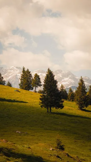 Alpine Landscape