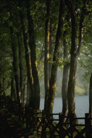 Forest Path By The Lake
