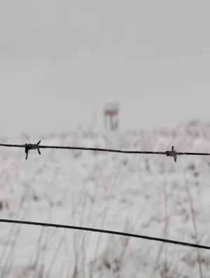 Snowy Landscape With Barbed Wire Fence