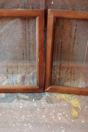 Dusty Window Frames