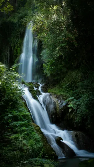 Forest Waterfall