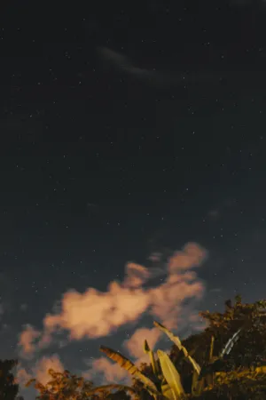 Starry Night Sky