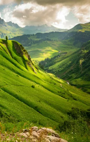 Green Valley