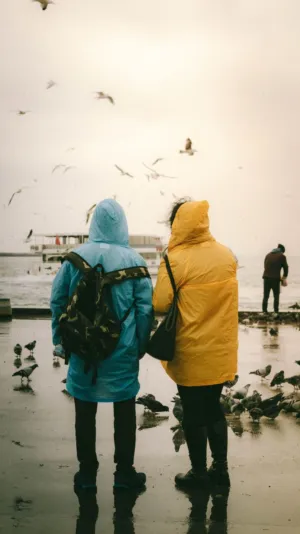 Rainy Day By The Water