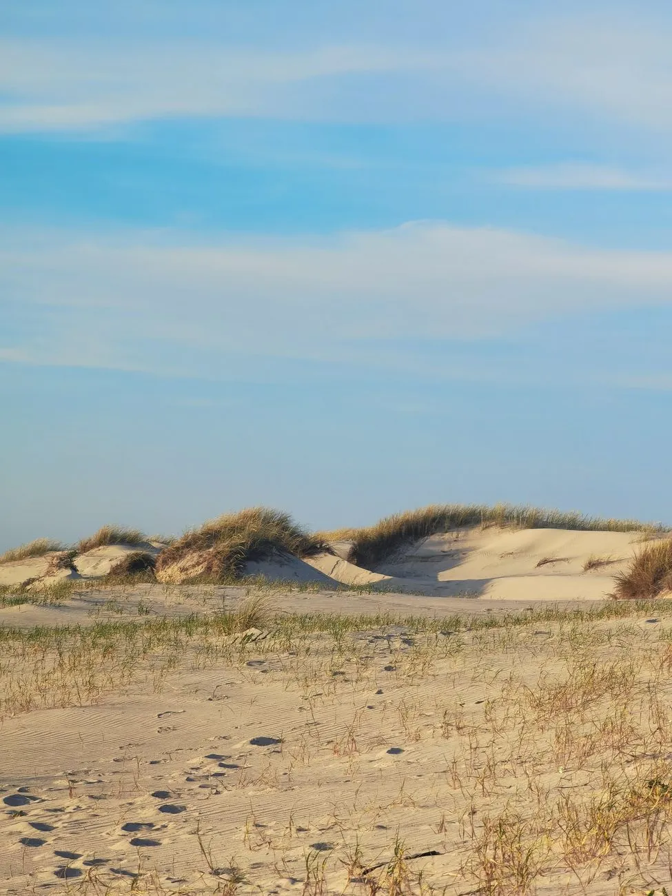 Desert Landscape
