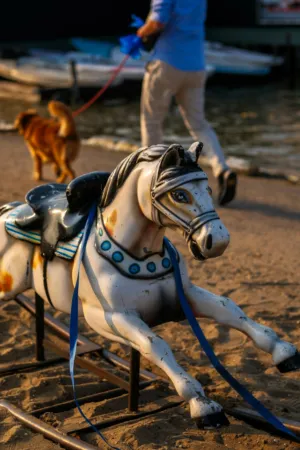 Vintage Carousel Horse