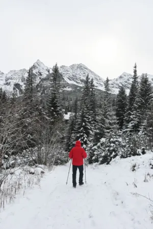 Winter Hike
