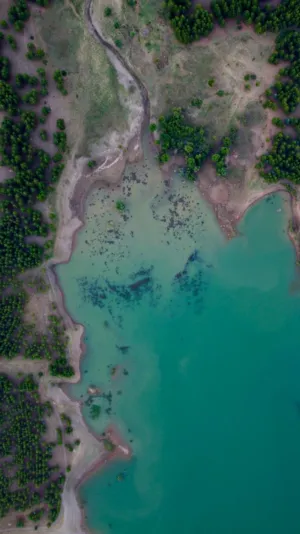 Aerial View Of A Lake