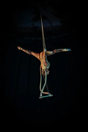 Aerial Acrobat