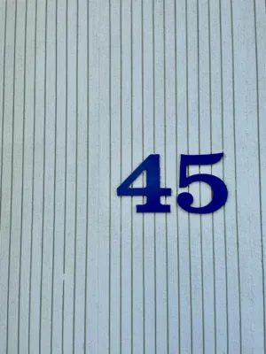 Number 45