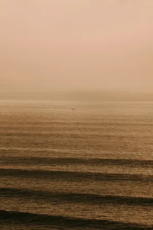 Solitary Bird Over The Ocean