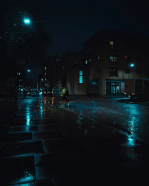 Rainy Night In The City