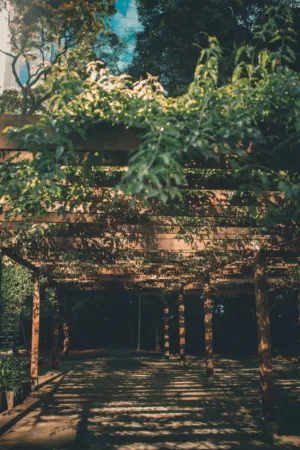 Garden Arbor